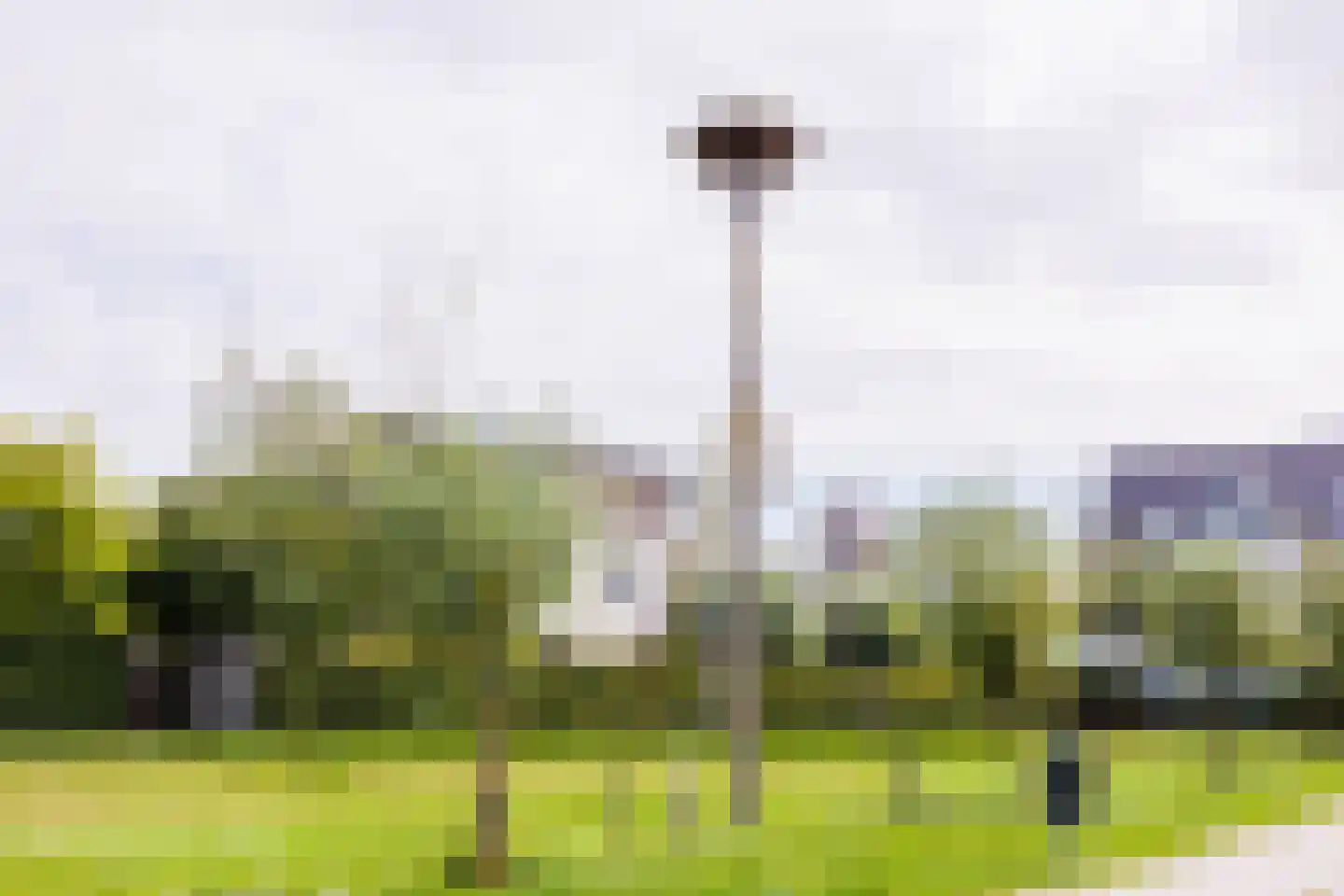 Kweldam 15 Oosterhout thumbnail 33