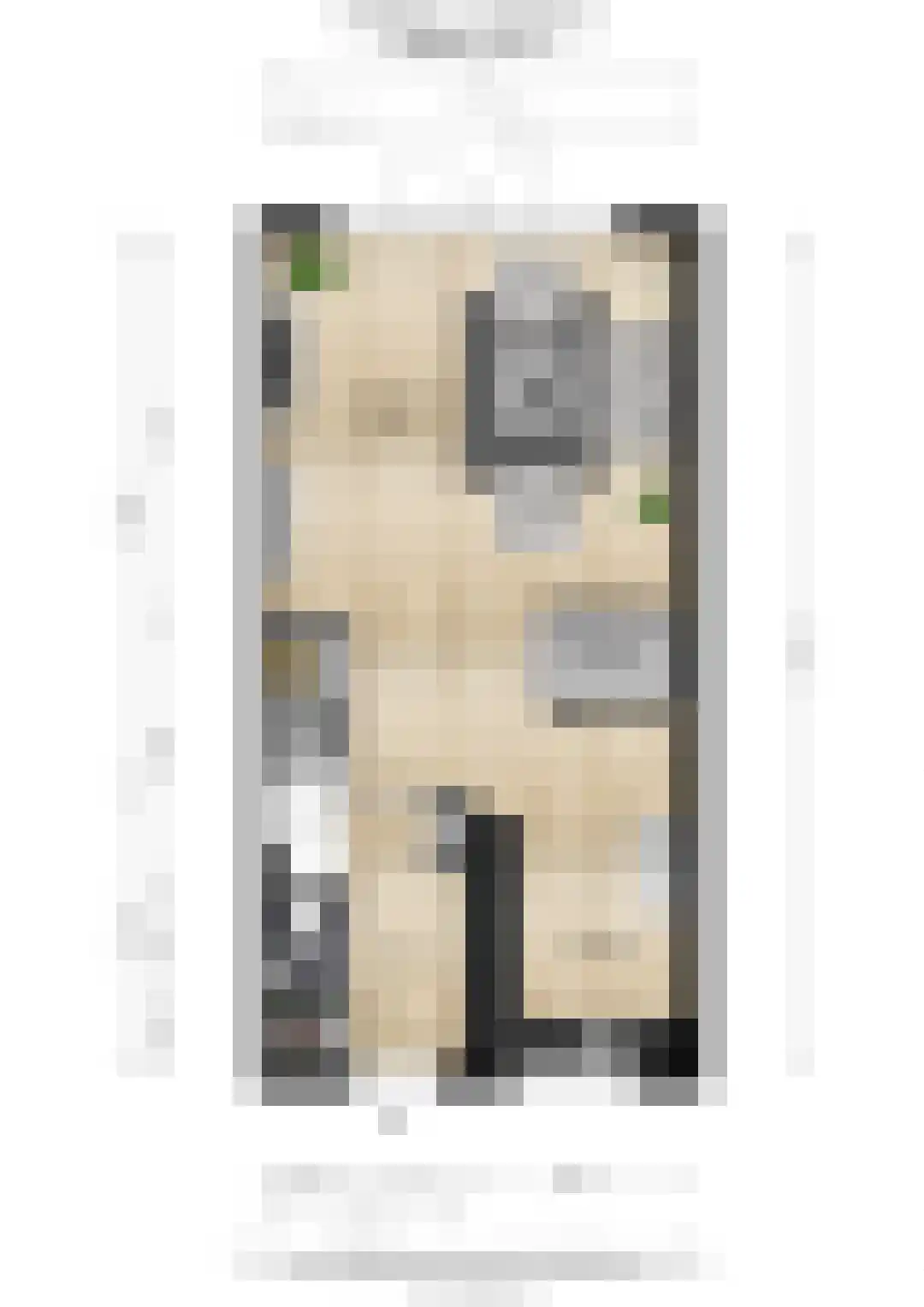 Kweldam 15 Oosterhout thumbnail 35