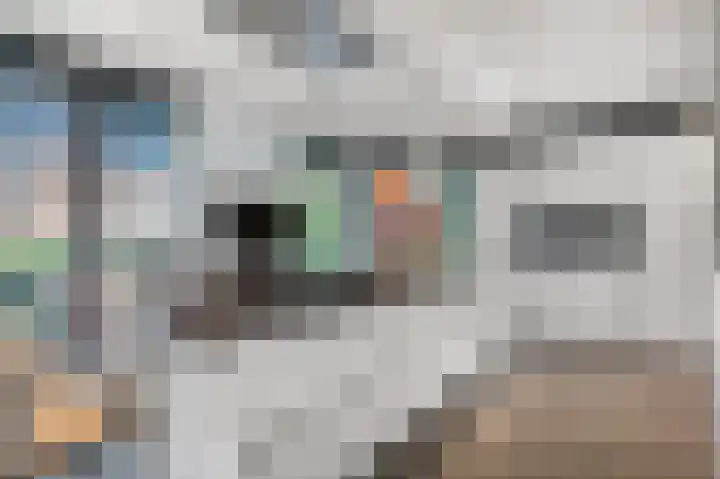 Kweldam 17 Oosterhout thumbnail 17