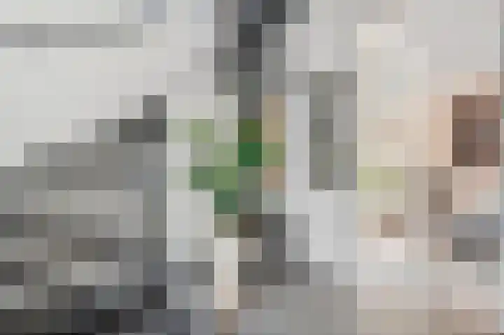 Kweldam 17 Oosterhout thumbnail 23