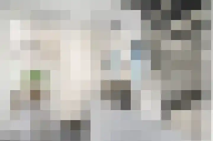 Kweldam 17 Oosterhout thumbnail 36