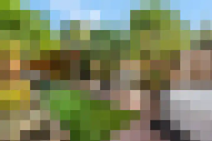 Kweldam 17 Oosterhout thumbnail 50