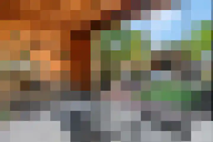 Kweldam 17 Oosterhout thumbnail 63