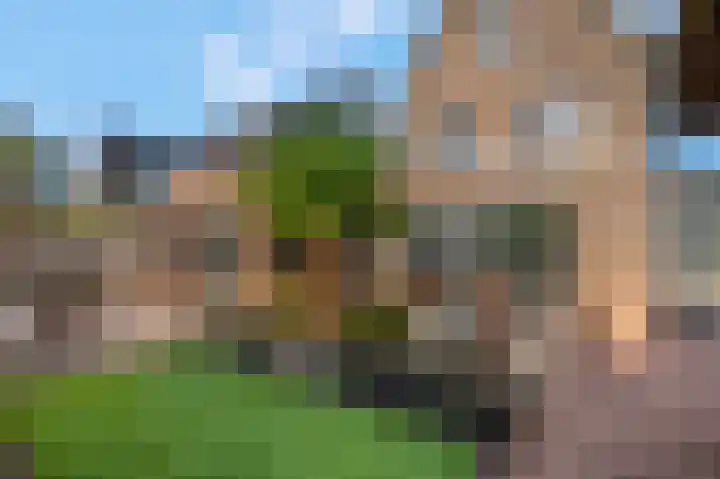 Kweldam 17 Oosterhout thumbnail 65