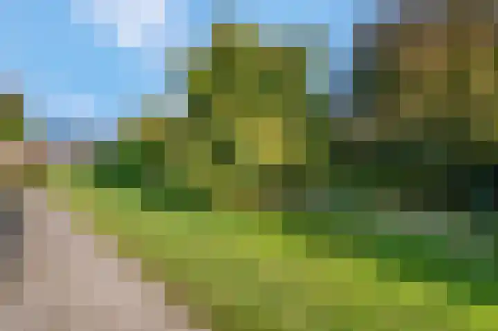 Kweldam 17 Oosterhout thumbnail 72