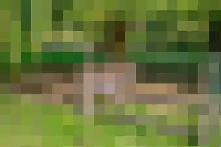 Kweldam 17 Oosterhout thumbnail 73