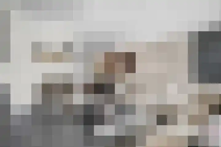 Kweldam 17 Oosterhout thumbnail 8