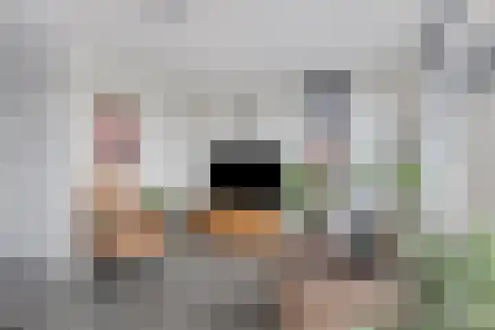 Kweldam 33 Oosterhout thumbnail 12
