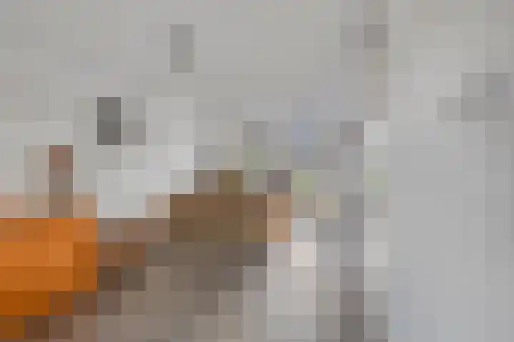Kweldam 33 Oosterhout thumbnail 14
