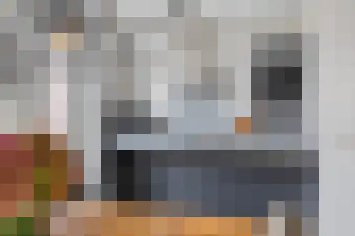 Kweldam 33 Oosterhout thumbnail 17