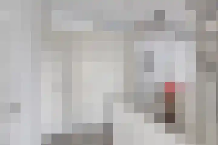 Kweldam 33 Oosterhout thumbnail 22