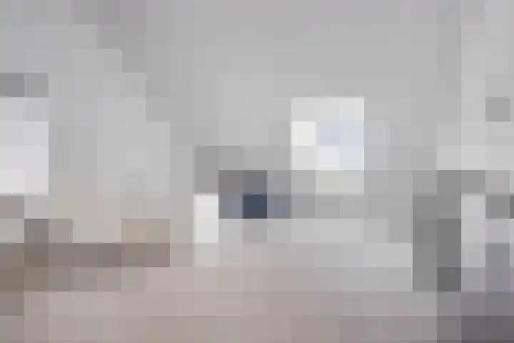 Kweldam 33 Oosterhout thumbnail 33