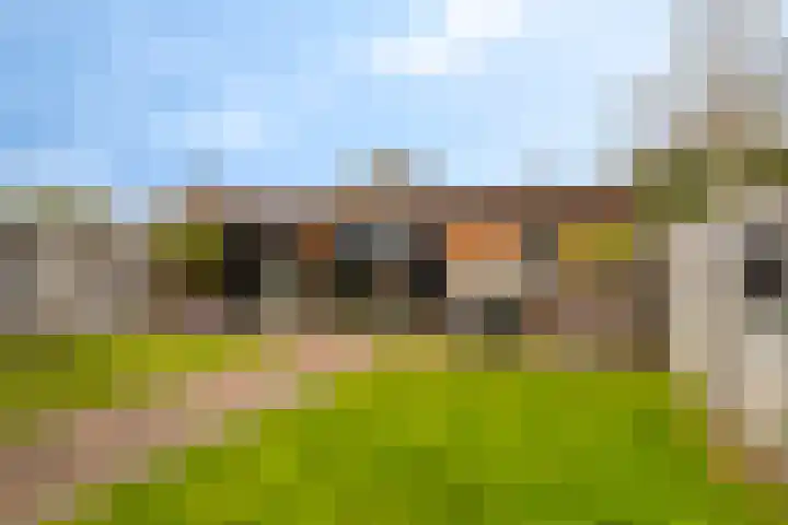 Kweldam 33 Oosterhout thumbnail 38