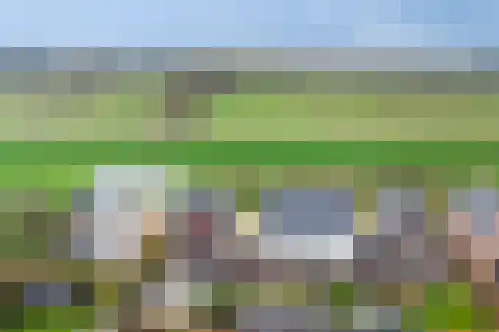 Kweldam 33 Oosterhout thumbnail 4