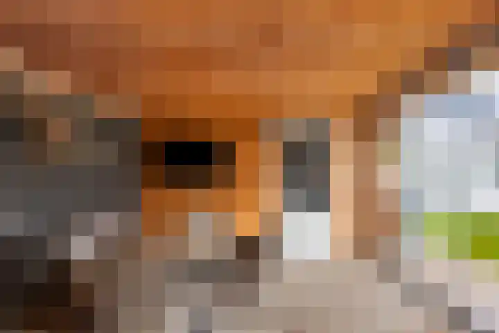 Kweldam 33 Oosterhout thumbnail 41