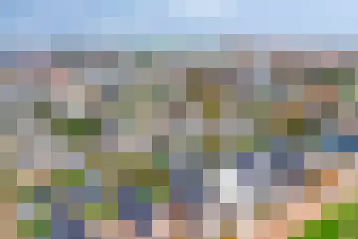 Kweldam 33 Oosterhout thumbnail 45