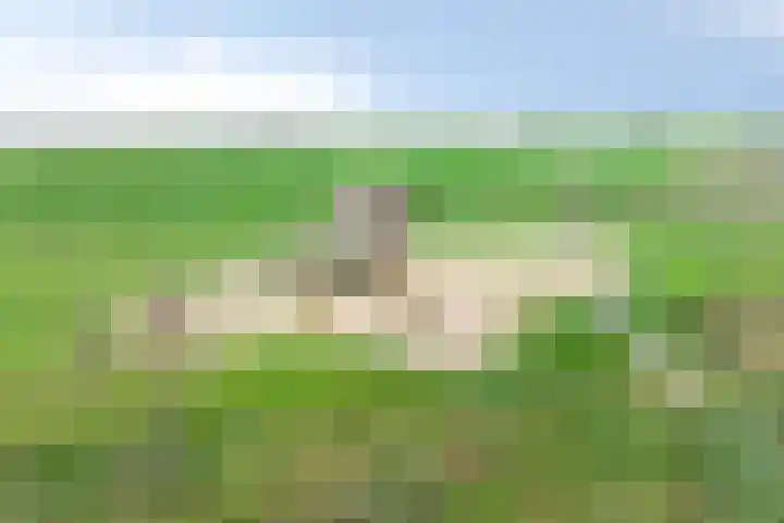 Kweldam 33 Oosterhout thumbnail 46