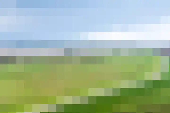 Kweldam 33 Oosterhout thumbnail 47