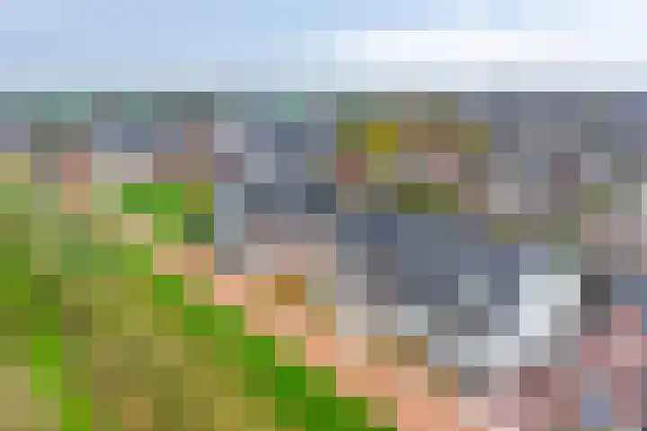 Kweldam 33 Oosterhout thumbnail 5