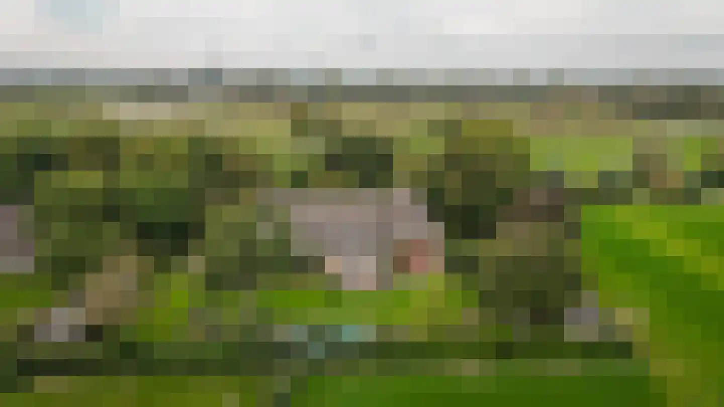 Kweldam 38 Deest thumbnail 4