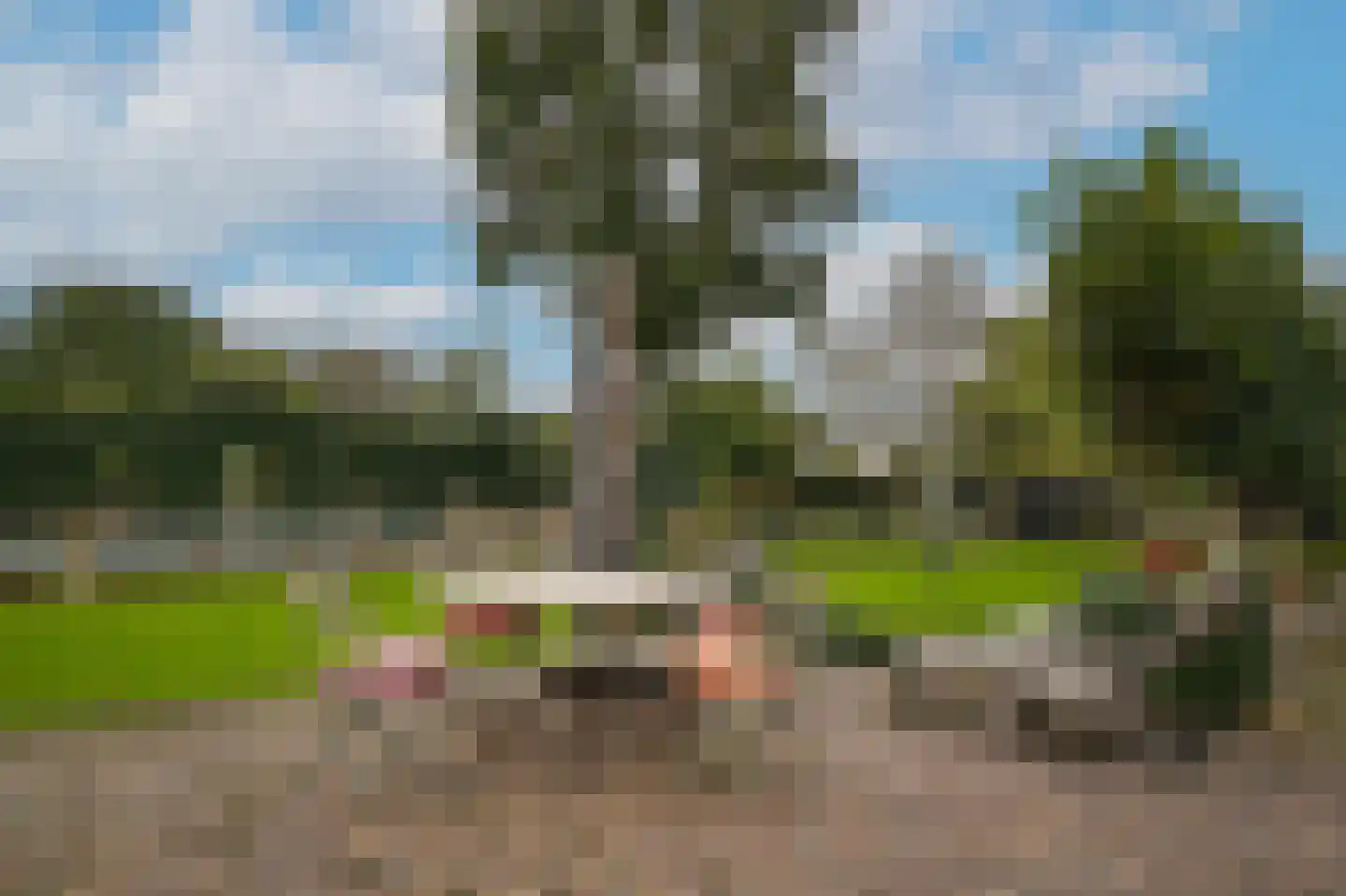 Kweldam 38 Deest thumbnail 54