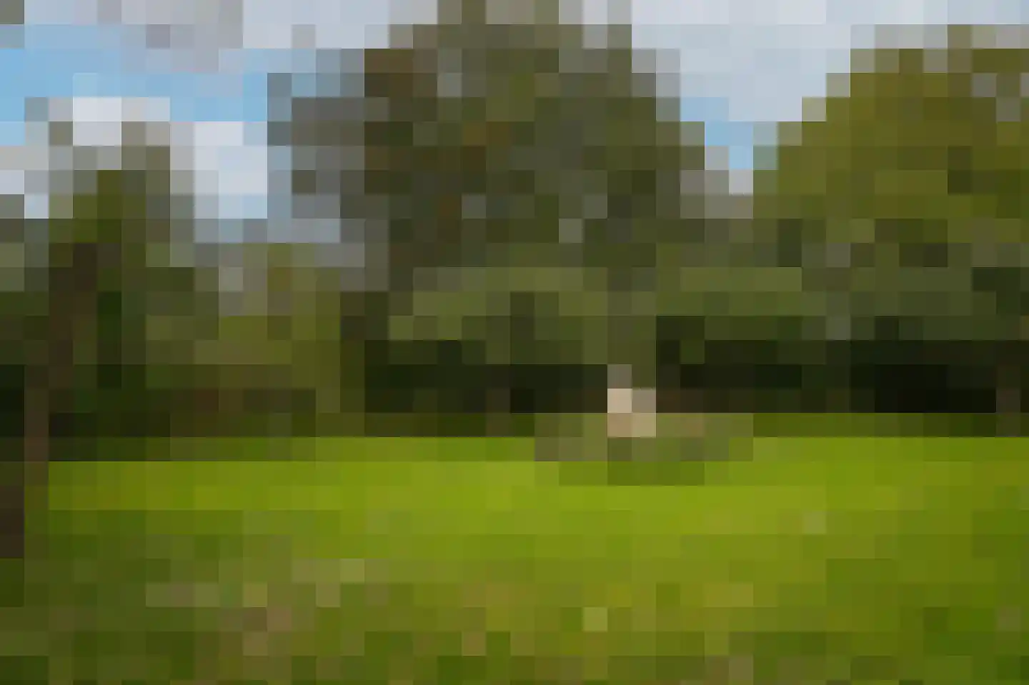 Kweldam 38 Deest thumbnail 61