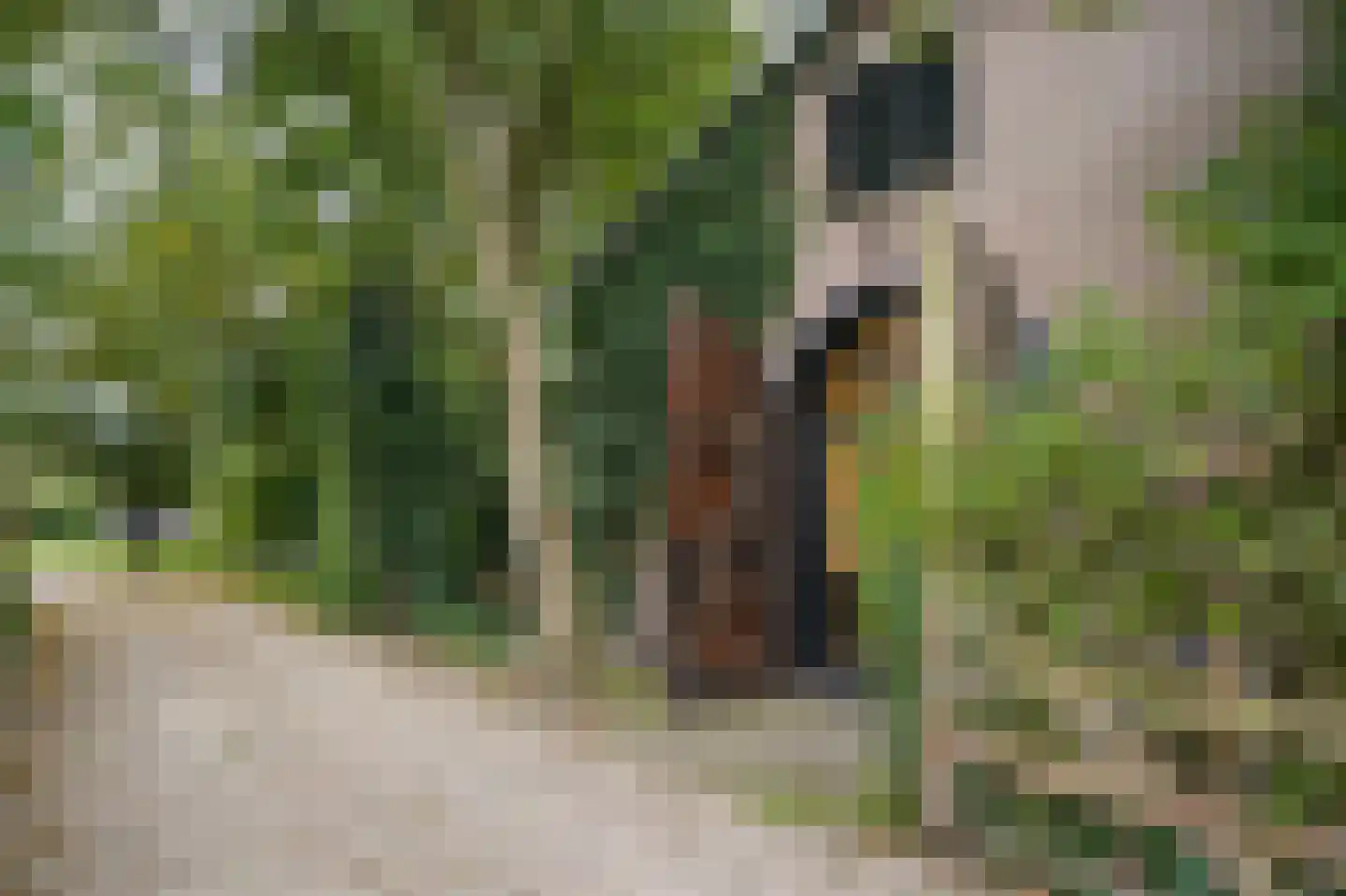 Kweldam 38 Deest thumbnail 63
