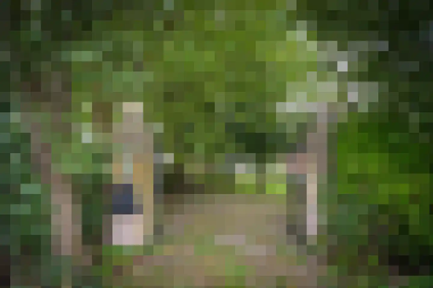 Kweldam 38 Deest thumbnail 69