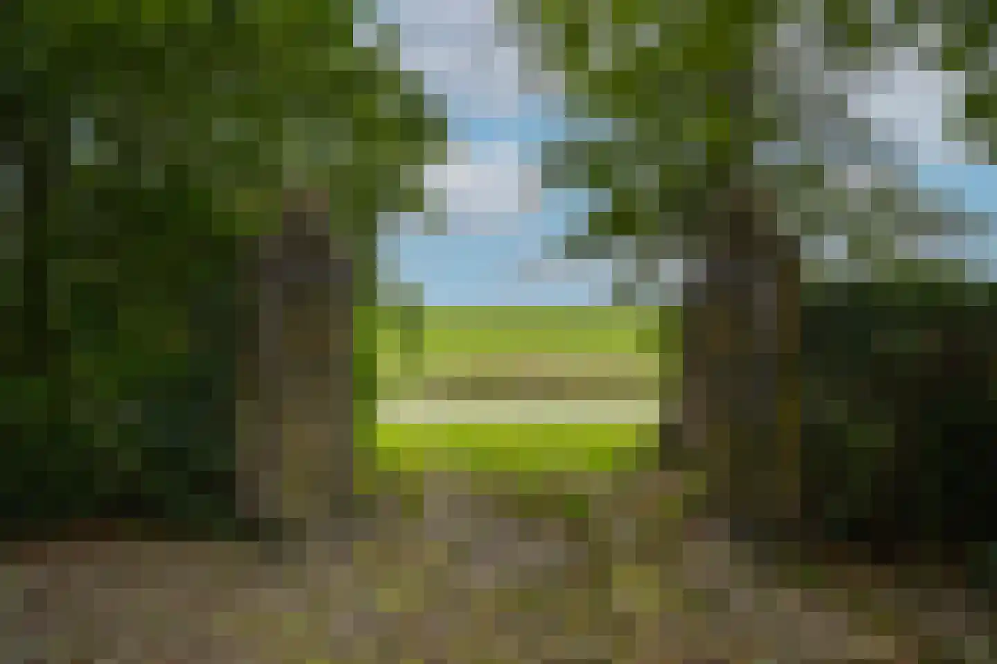 Kweldam 38 Deest thumbnail 70