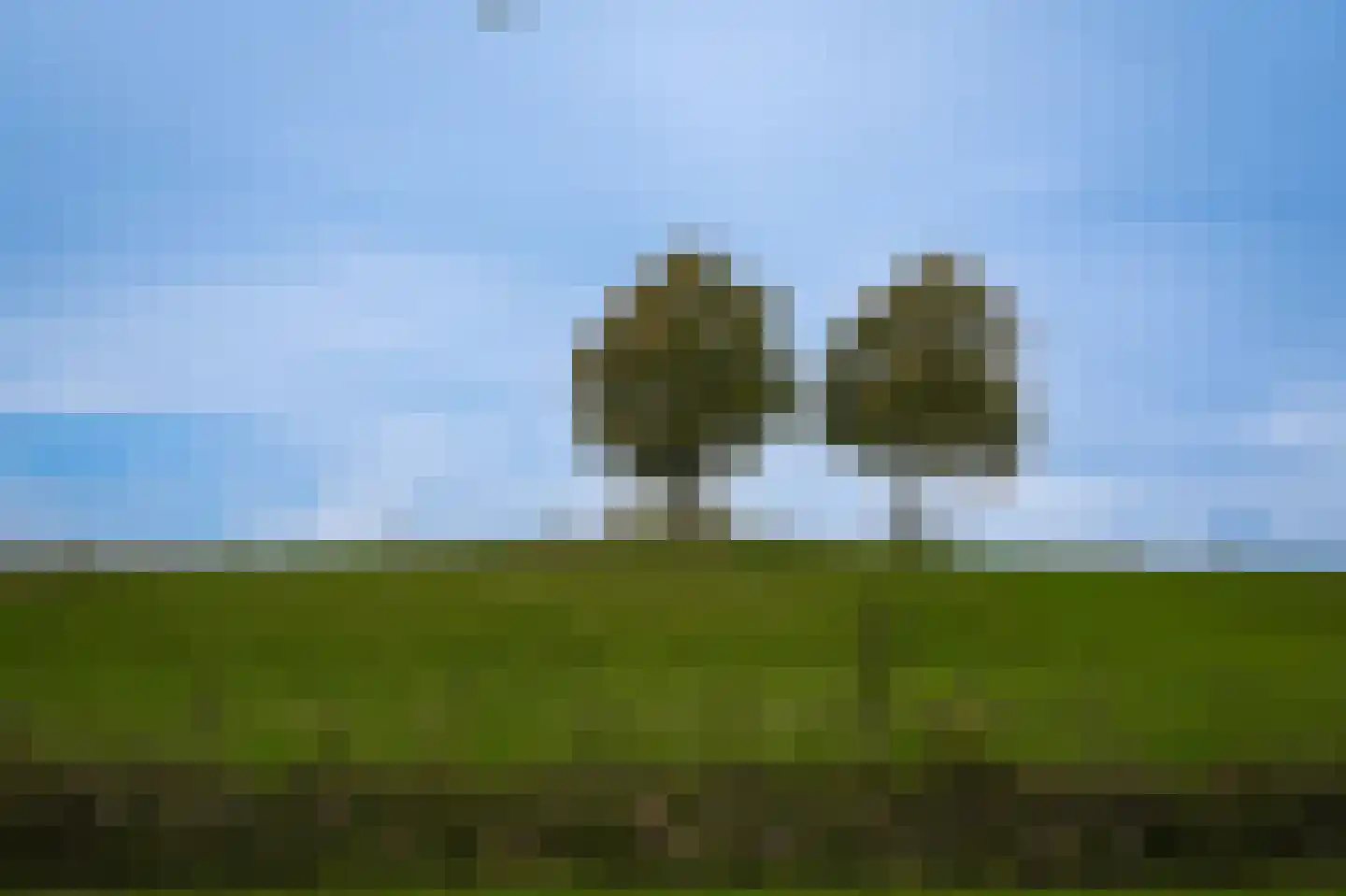 Kweldam 38 Deest thumbnail 71