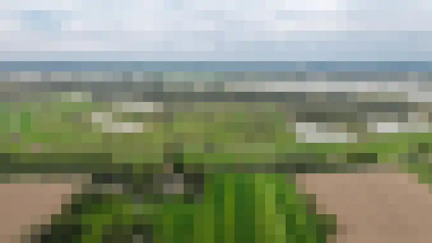 Kweldam 38 Deest thumbnail 74