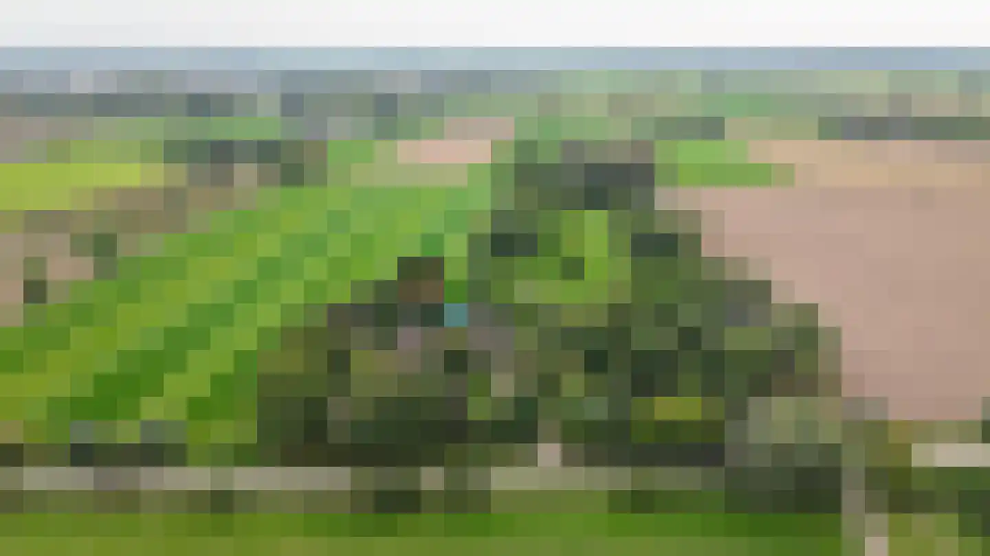 Kweldam 38 Deest thumbnail 76