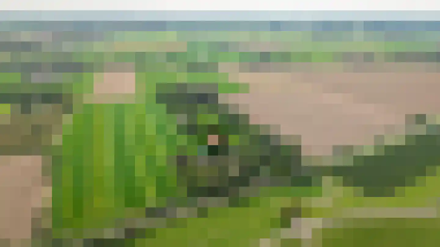 Kweldam 38 Deest thumbnail 77