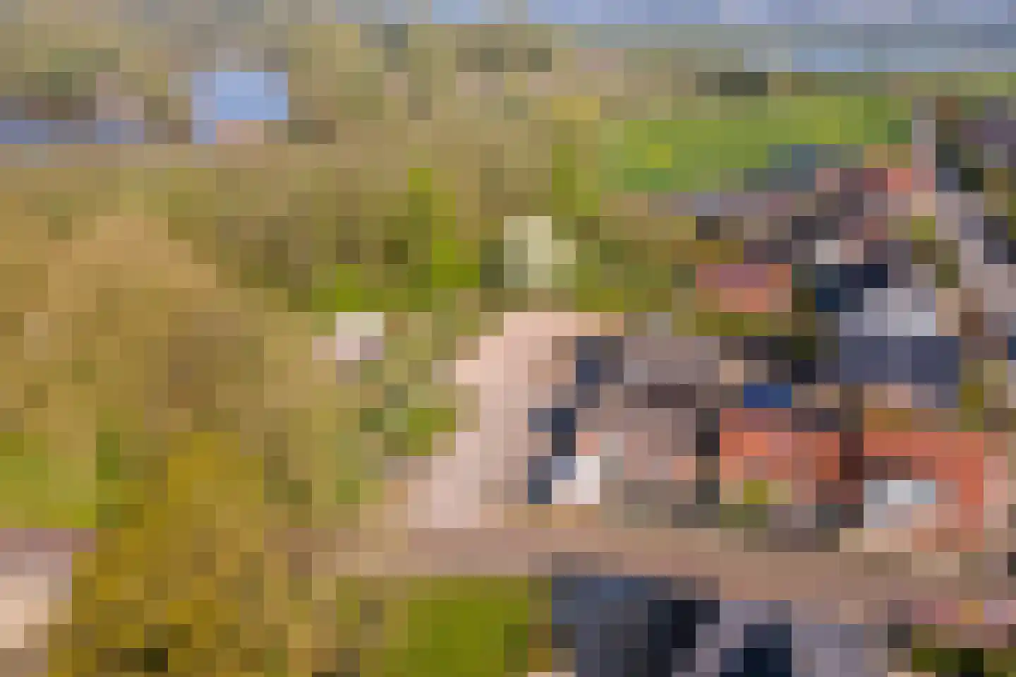Kweldam Deest foto 2