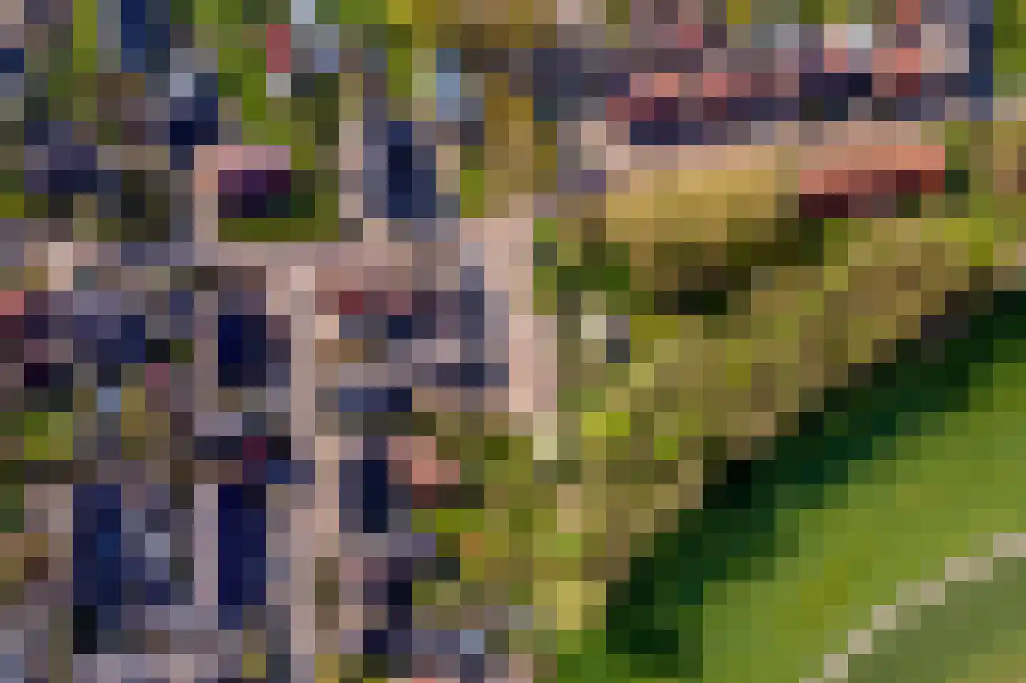Kweldam Deest thumbnail 7