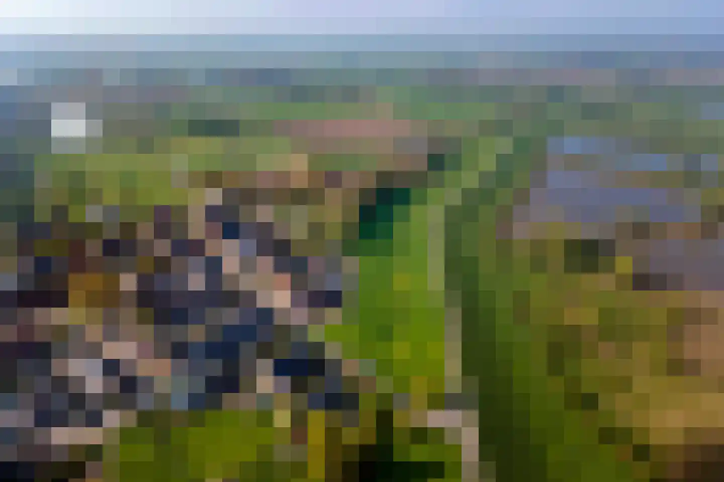 Kweldam Deest thumbnail 8