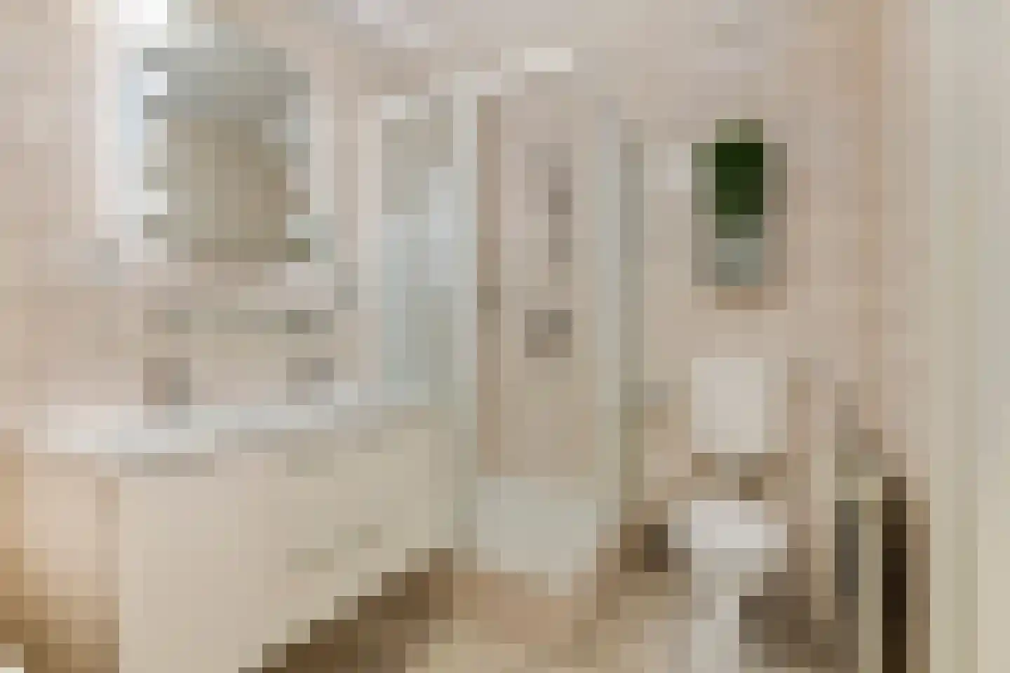 Kwelder 10 Tiel thumbnail 33