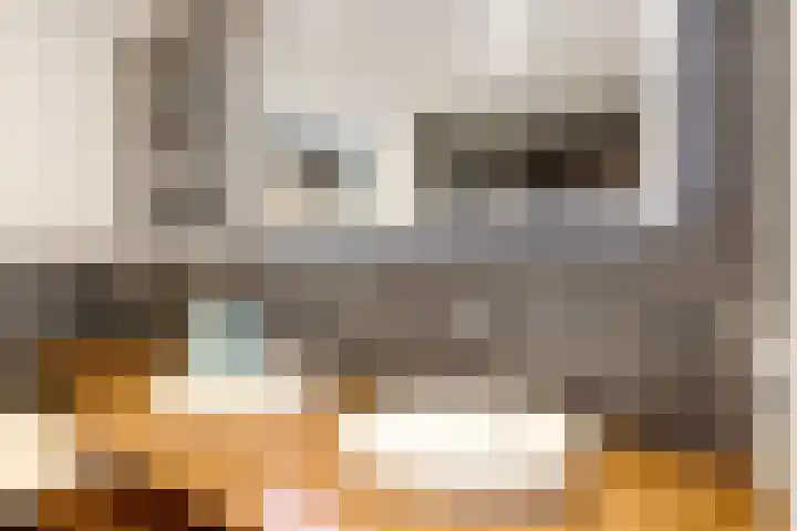 Kwelder 12 Zeewolde thumbnail 27