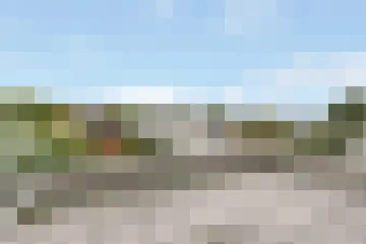 Kwelder 12 Zeewolde thumbnail 34