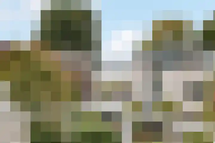 Kwelder 12 Zeewolde thumbnail 35