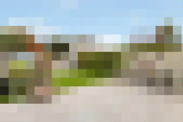 Kwelder 12 Zeewolde thumbnail 39