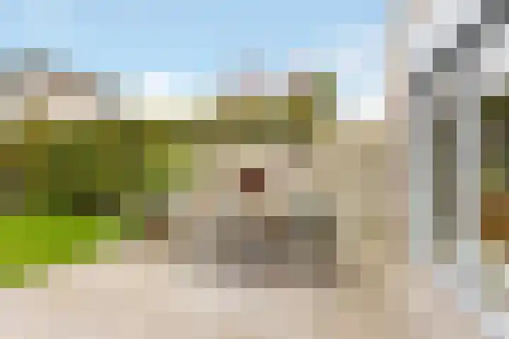 Kwelder 12 Zeewolde thumbnail 40