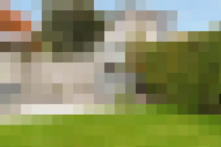 Kwelder 12 Zeewolde thumbnail 42