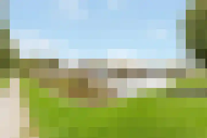Kwelder 12 Zeewolde thumbnail 46