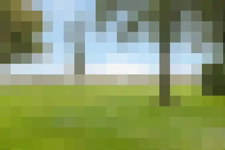 Kwelder 12 Zeewolde thumbnail 47