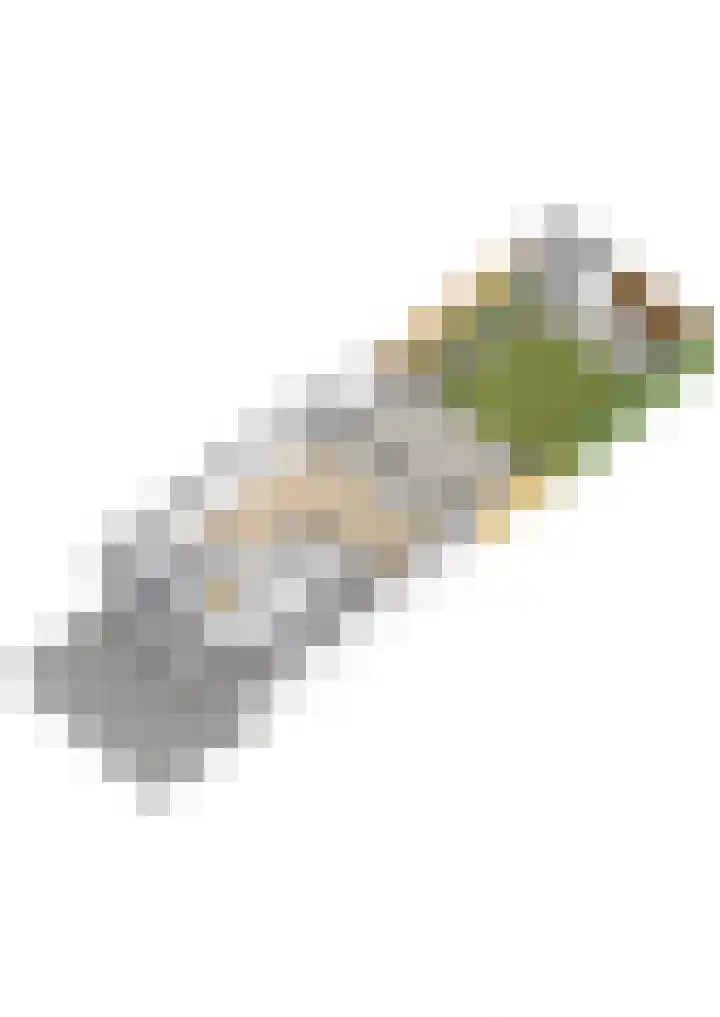 Kwelder 12 Zeewolde thumbnail 57