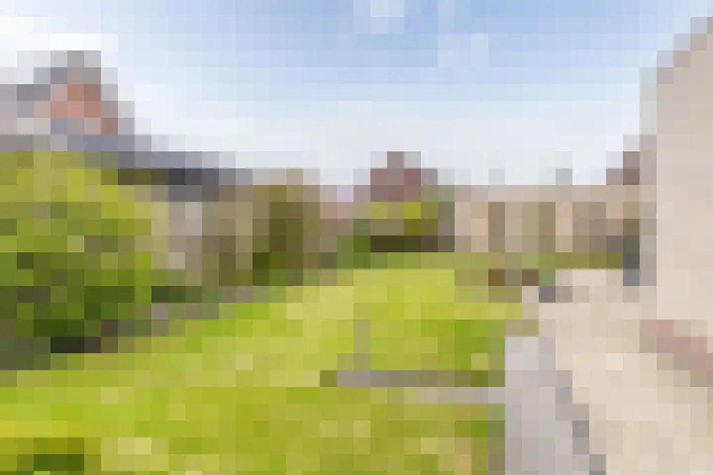 Kwelder 5 Loppersum thumbnail 35