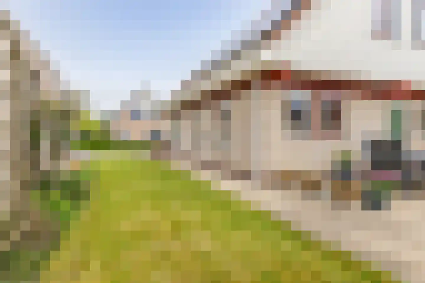 Kwelder 5 Loppersum thumbnail 37