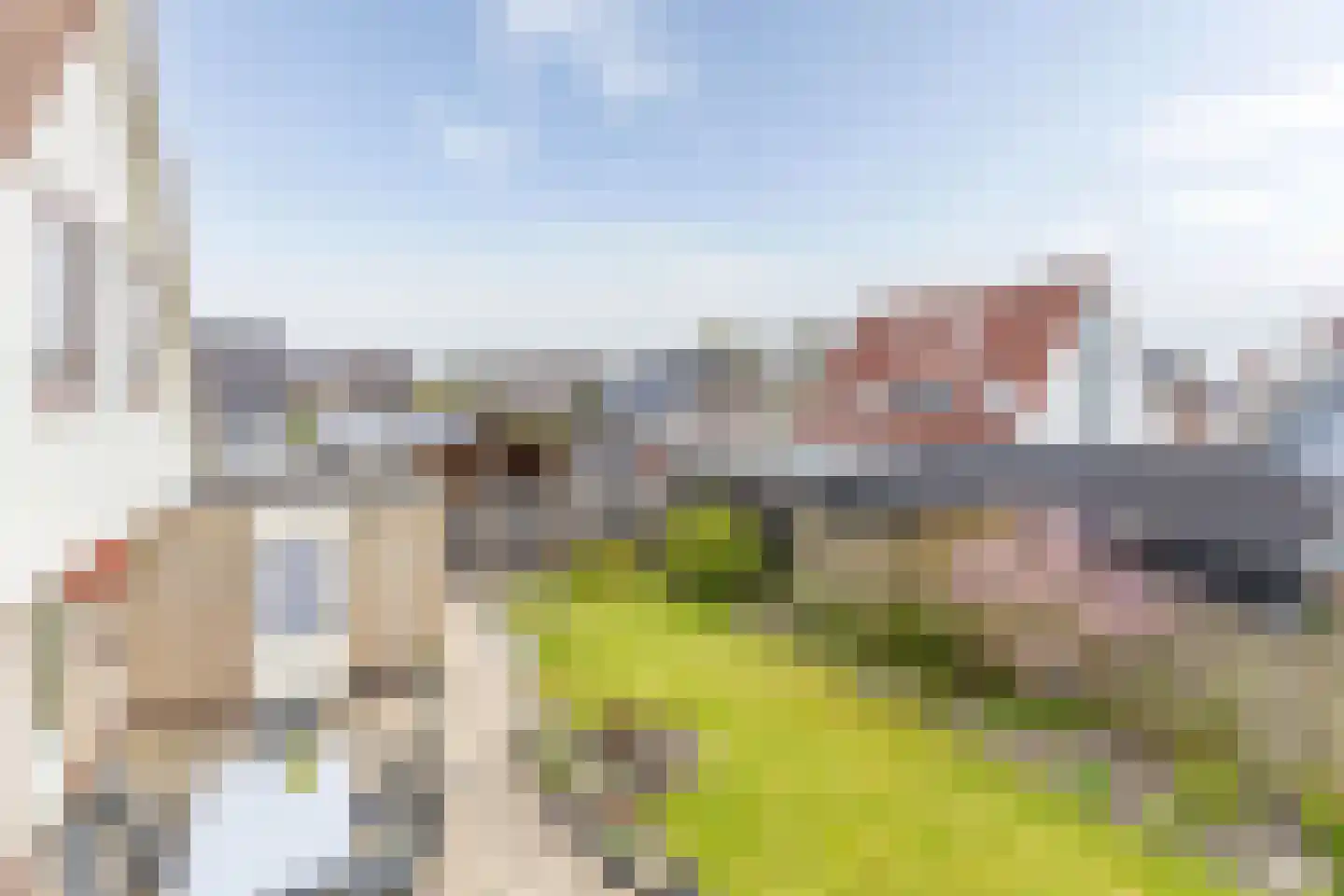 Kwelder 5 Loppersum thumbnail 39