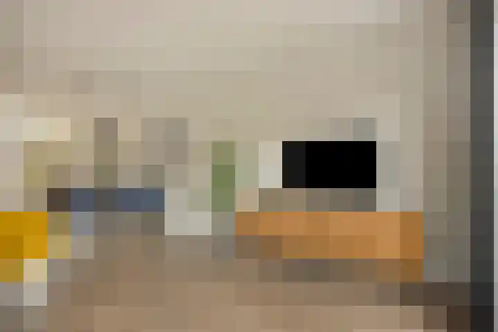 Kwelder 9 Alkmaar thumbnail 10